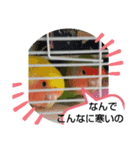 kawafamily20（個別スタンプ：5）