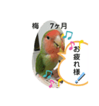 kawafamily20（個別スタンプ：7）