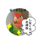 kawafamily20（個別スタンプ：8）