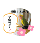 kawafamily20（個別スタンプ：9）