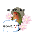 kawafamily20（個別スタンプ：10）