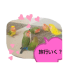 kawafamily20（個別スタンプ：11）