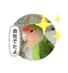 kawafamily20（個別スタンプ：13）