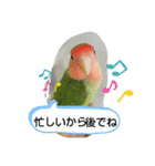 kawafamily20（個別スタンプ：14）