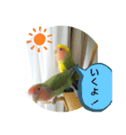 kawafamily20（個別スタンプ：16）