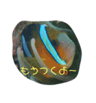 うみの生き物たちとダイバーによる日常会話（個別スタンプ：3）