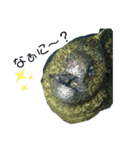 うみの生き物たちとダイバーによる日常会話（個別スタンプ：6）