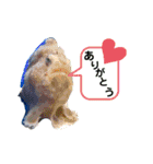 うみの生き物たちとダイバーによる日常会話（個別スタンプ：10）