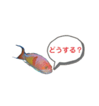 うみの生き物たちとダイバーによる日常会話（個別スタンプ：11）