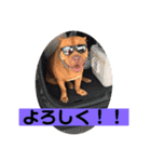 パニック❤️（個別スタンプ：1）