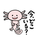 新婚ウーパールーパーと仲間達（個別スタンプ：9）