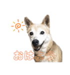 スマイル☆モナくん（個別スタンプ：1）