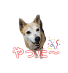 スマイル☆モナくん（個別スタンプ：7）