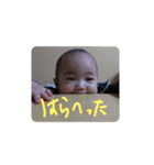 凛唯と翔詩と若干まおりお（個別スタンプ：13）