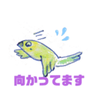 インコのまと（個別スタンプ：5）