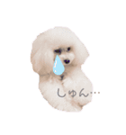 のあとおはなの日常（個別スタンプ：2）