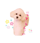 のあとおはなの日常（個別スタンプ：20）