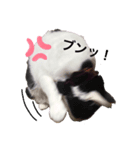 ネコのミルク（個別スタンプ：2）