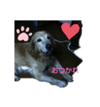 アニエス（個別スタンプ：1）
