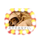 私はみんみん。（個別スタンプ：4）