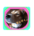私はみんみん。（個別スタンプ：7）