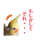オカメ時々コザクラさん（個別スタンプ：30）