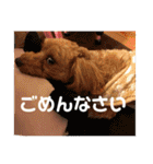 エイトハウス#02（個別スタンプ：2）