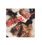 エイトハウス#02（個別スタンプ：5）
