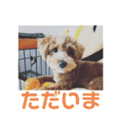 エイトハウス#02（個別スタンプ：6）