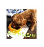 エイトハウス#02（個別スタンプ：7）