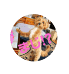 エイトハウス#02（個別スタンプ：9）