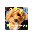 エイトハウス#02（個別スタンプ：11）