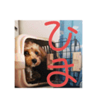 エイトハウス#02（個別スタンプ：13）
