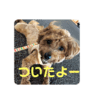 エイトハウス#02（個別スタンプ：15）