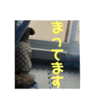 エイトハウス#02（個別スタンプ：16）