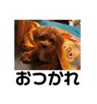 エイトハウス#02（個別スタンプ：18）