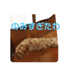 エイトハウス#02（個別スタンプ：19）