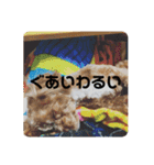 エイトハウス#02（個別スタンプ：20）