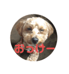 エイトハウス#02（個別スタンプ：21）