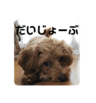 エイトハウス#02（個別スタンプ：24）