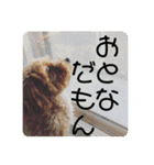 エイトハウス#02（個別スタンプ：25）