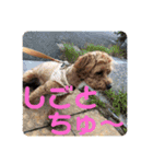 エイトハウス#02（個別スタンプ：26）