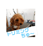 エイトハウス#02（個別スタンプ：28）