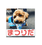 エイトハウス#02（個別スタンプ：30）