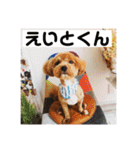 エイトハウス#02（個別スタンプ：32）