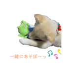 あやてまさん。（個別スタンプ：5）