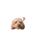 はなと動物たち（個別スタンプ：8）