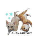 茶トラの日常にゃん♡（個別スタンプ：3）