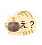 オリジナルキモカワさっちゃんスタンプ（個別スタンプ：3）