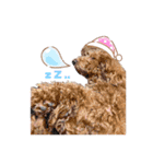 銭谷家。（個別スタンプ：11）
